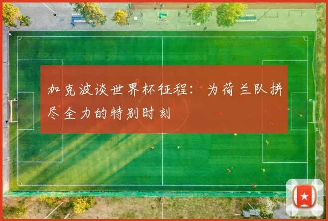 加克波谈世界杯征程：为荷兰队拼尽全力的特别时刻