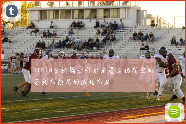 Stein分析骑士引进老詹后仍有空间签约布朗尼的战略布局