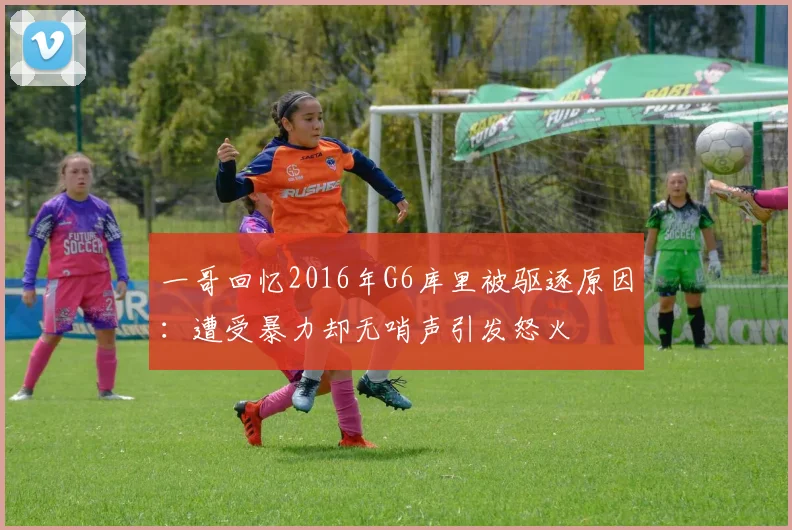一哥回忆2016年G6库里被驱逐原因：遭受暴力却无哨声引发怒火